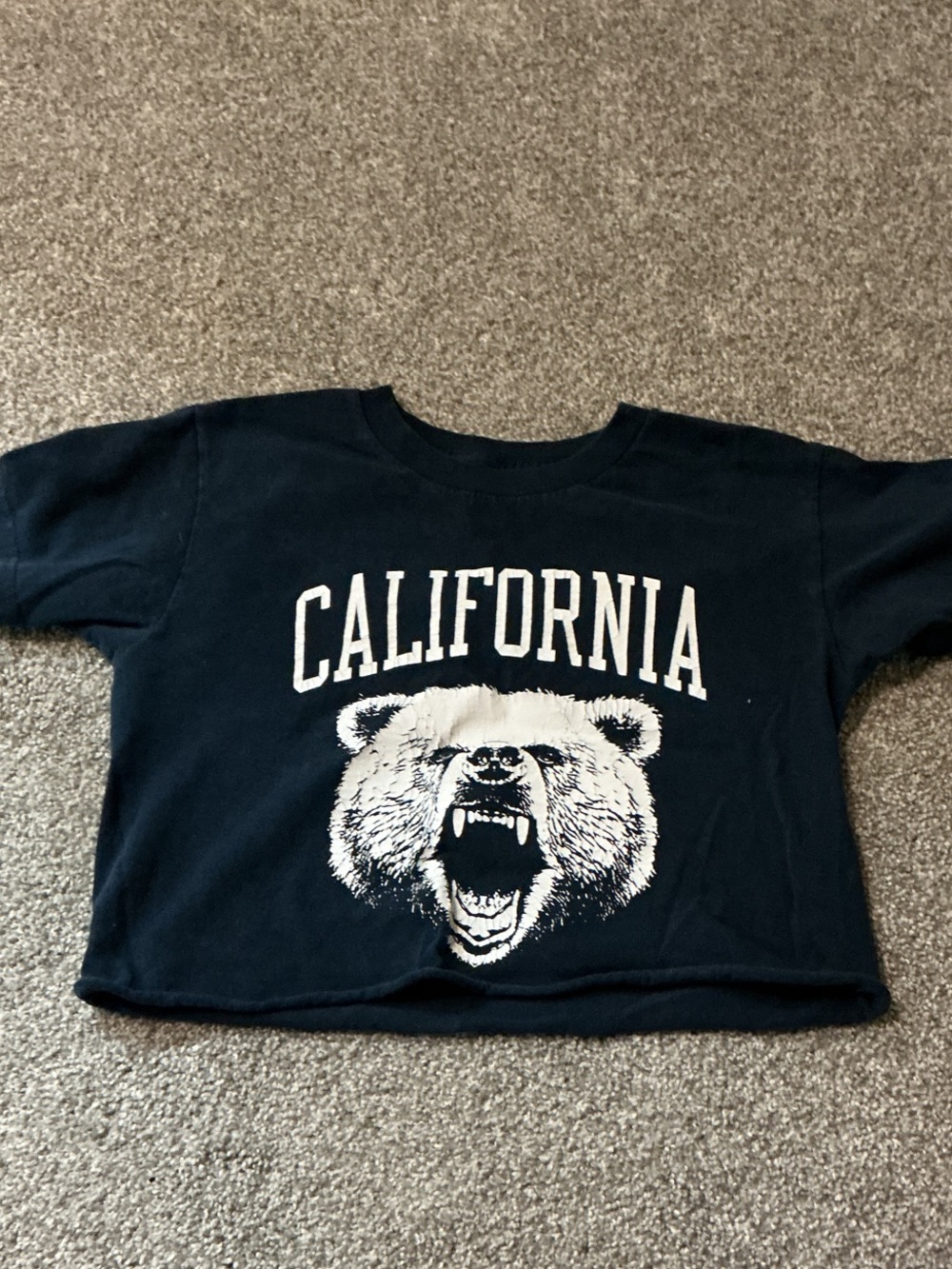 PacSun Navy Blue California Bear Graphic Tee